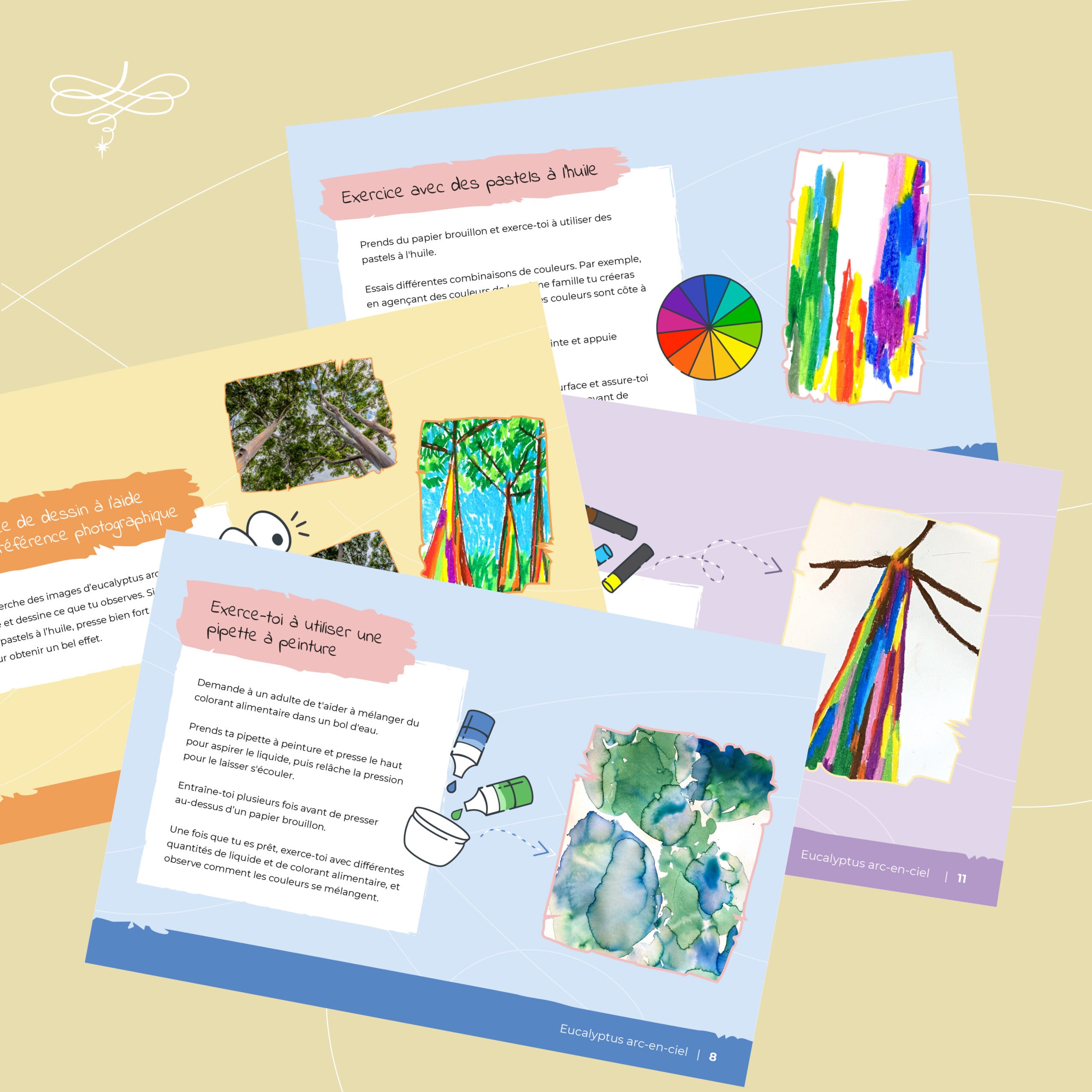 rainbow eucalyptus tree activity box (fr)