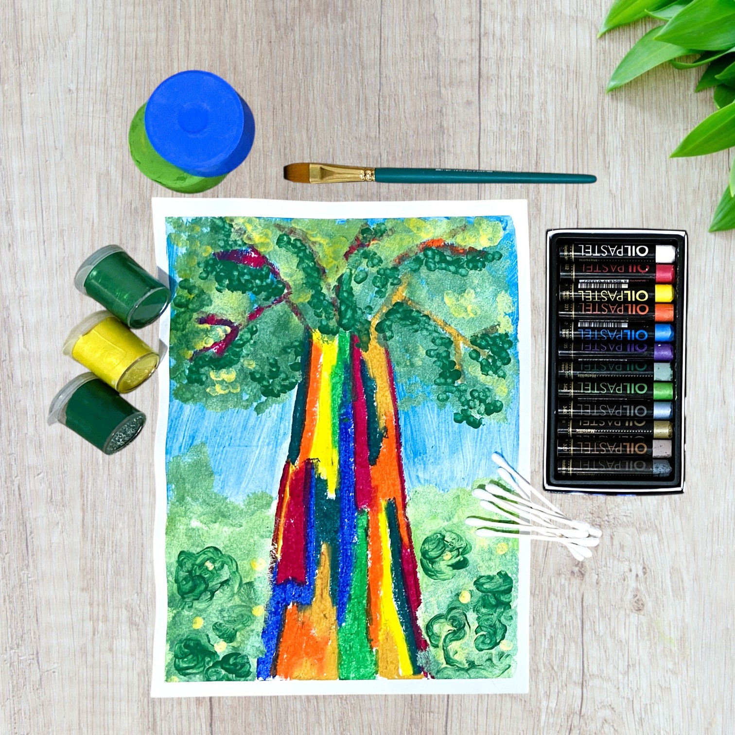eucalyptus
