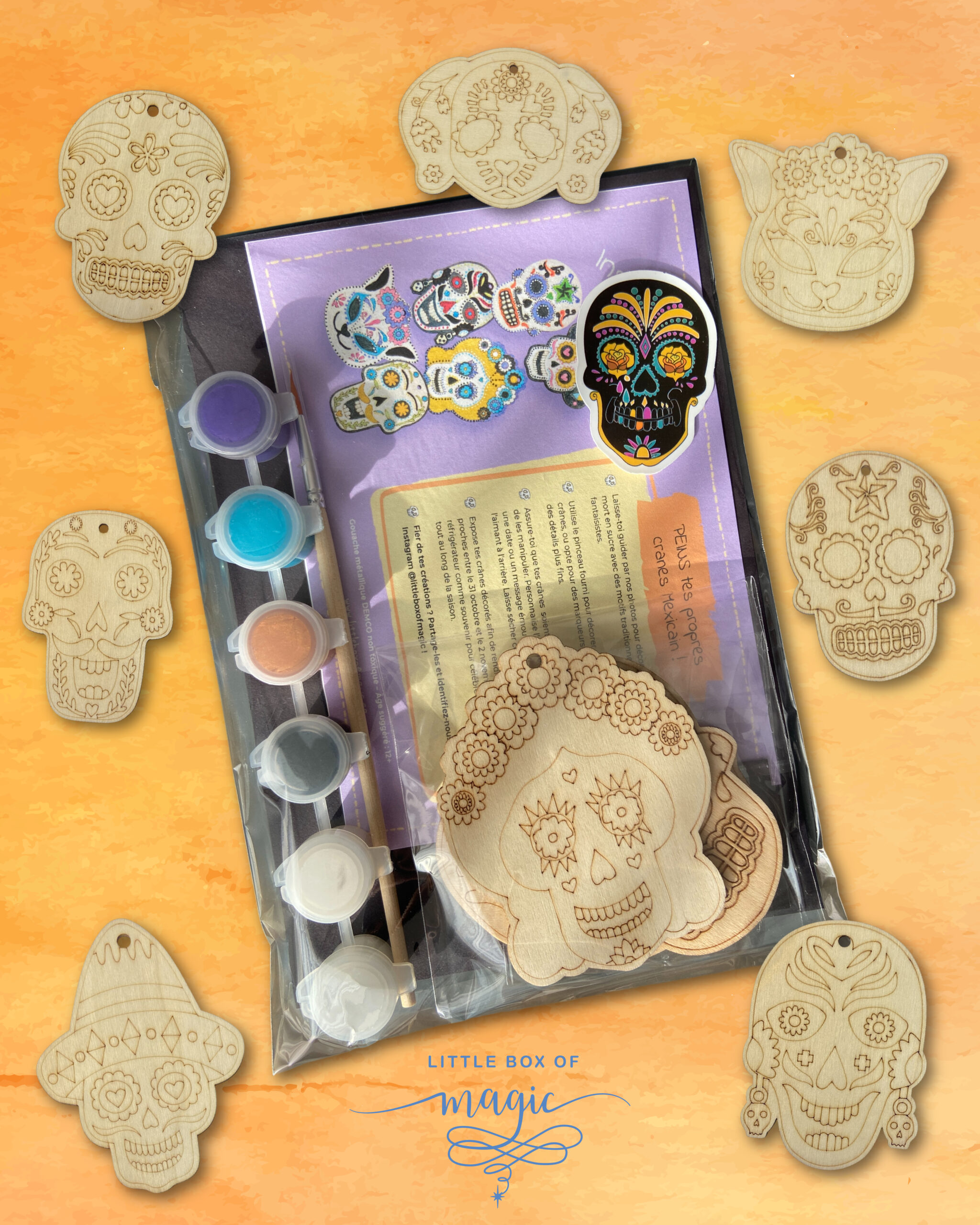 catrina painting kit